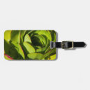 Search for morro accessories Pacific