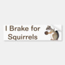 Search for i brake for squirrels bumper stickers Nature