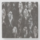 Search for fossil coasters Fish