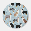 Search for aussies magnets Pets