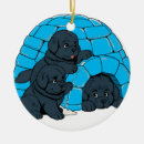 Search for newfie christmas tree decorations Dog