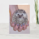 Search for critter cards Animal