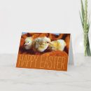 Search for three chicks cards Cute