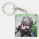 Search for goofy key rings Dog