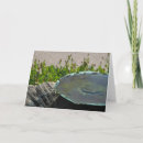 Search for phoenix cards Flying