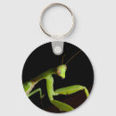 Search for mantids key rings Mantis
