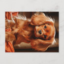 Search for charles postcards Cavie