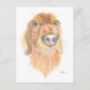 Search for quirky postcards Dog
