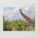 Search for supporter postcards Outdoors