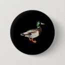 Search for mallards badges Arrow