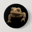 Search for jewelry badges Nature