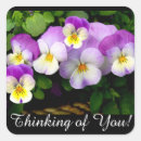 Search for pretty pansy stickers Pansies