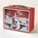 Search for bulldog lunch boxes Cute