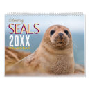 Search for seal calendars Cute