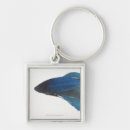 Search for betta fish key rings Blue