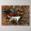 Search for english setter art Animal