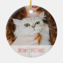 Search for lover christmas tree decorations Funny