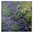 Search for variety tiles Flowers