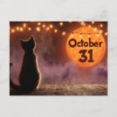 Search for moon cat postcards Spooky