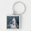 Search for amos key rings Superstock