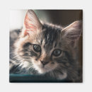 Search for young magnets Baby animals