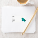 Search for dolphin labels Green