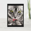 Search for cat face cards Feline