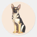 Search for search rescue stickers Police