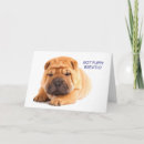 Search for peis cards Shar pei