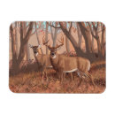Search for whitetail magnets Deer hunting
