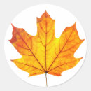 Search for red maple leaf stickers Nature