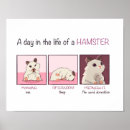 Search for hamster posters Cartoon