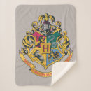 Search for slytherin decor Hogwarts
