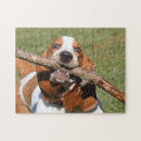 Search for basset hound puzzles Dog