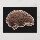 Search for human brain postcards Horizontal