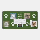 Search for green dog electronics Paws