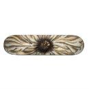 Search for background skateboards Botanical