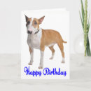 Search for bull terrier birthday cards Puppy