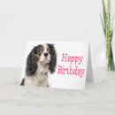 Search for king birthday cards Dog lover
