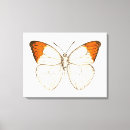 Search for single winged posters White