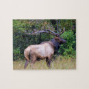 Search for elk puzzles Hunting