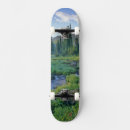 Search for creeks skateboards Landscape