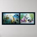 Search for cichlid art Water