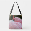 Search for flamingo bags Photography