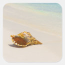 Search for conch shell stickers Sand