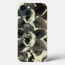 Search for barely photography Floral