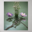 Search for pond photography Floral