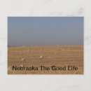 Search for bail postcards Hay