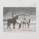 Search for horse lover christmas cards Winter