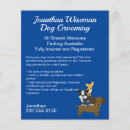 Search for dog flyers Groomer